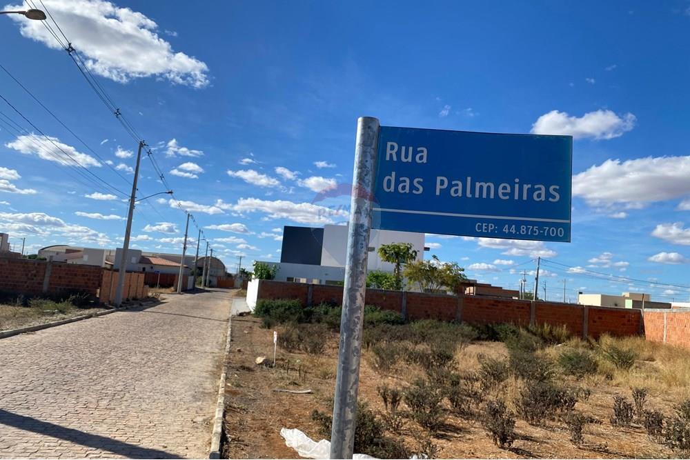 Terreno - Venda - Irecê , Bahia - IMG-20250625-WA0497.jpg - 580841019-6