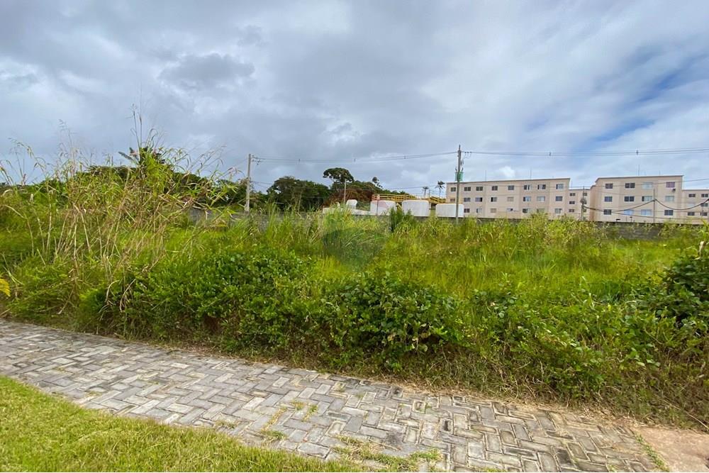 Terreno - Venda - Camaçari , Bahia - IMG_8333_jpg.jpg - 580421085-14
