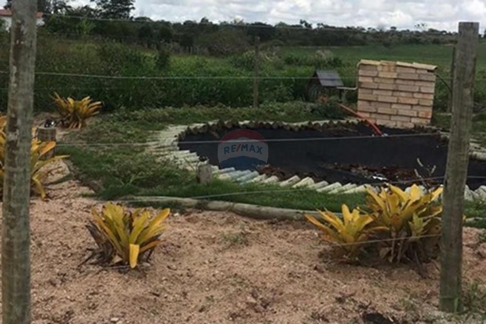 Chácara / Sítio / Fazenda - Venda - Vitória da Conquista , Bahia - WhatsApp Image 2025-05-29 at 14.13.50.jpeg - 580831002-80