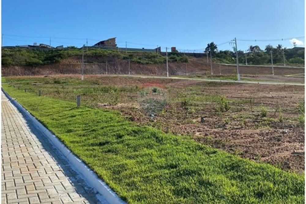 Terreno - Venda - Entre Rios , Bahia - WhatsApp Image 2025-07-14 at 14.17.24.jpeg - 580701056-5