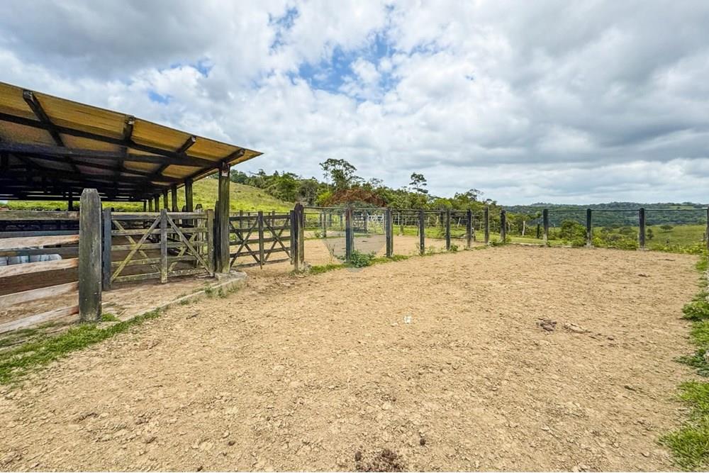 Chácara / Sítio / Fazenda - Venda - Ubaíra , Bahia - WhatsApp Image 2024-12-17 at 14.37.12 (2).jpeg - 580341012-76