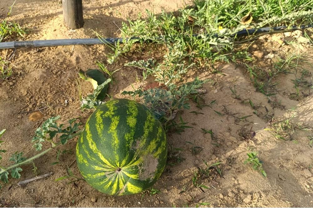 Studio - Venda - Vitória da Conquista , Bahia - F17.jpg - 580831002-163