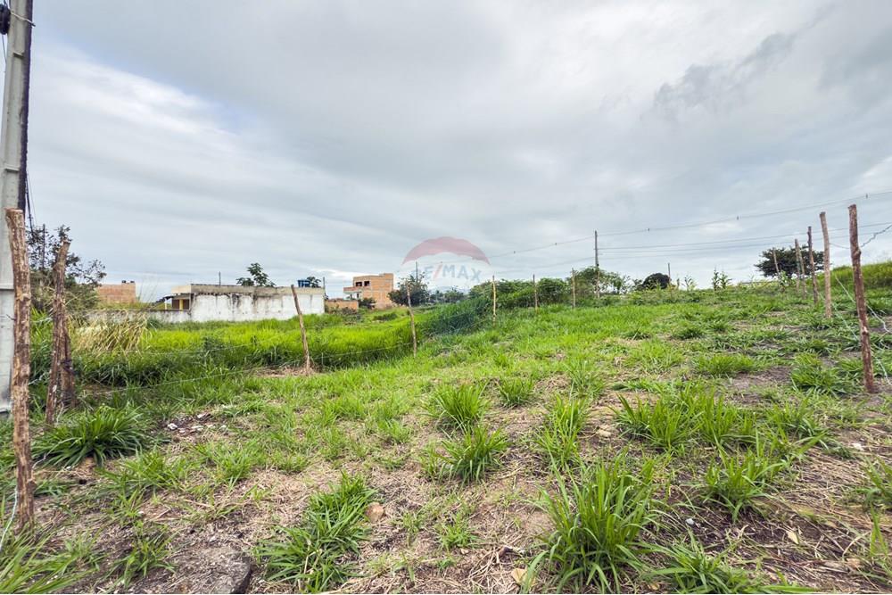 Terreno - Venda - Santo Antônio de Jesus , Bahia - IMG_1225 (1).jpg - 580341014-39