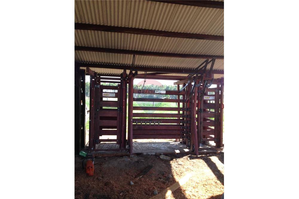 Chácara / Sítio / Fazenda - Venda - Mucuri , Bahia - 7 - 580411006-263