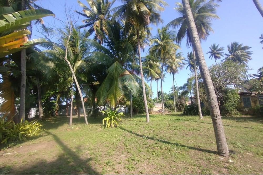 Terreno - Venda - Vera Cruz , Bahia - WhatsApp Image 2024-11-23 at 06.42.40.jpeg - 580401026-39