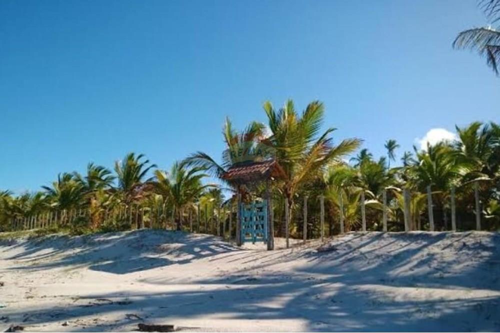 Terreno - Venda - Ilhéus , Bahia - WhatsApp Image 2025-05-29 at 22.08.55.jpeg - 580831002-79