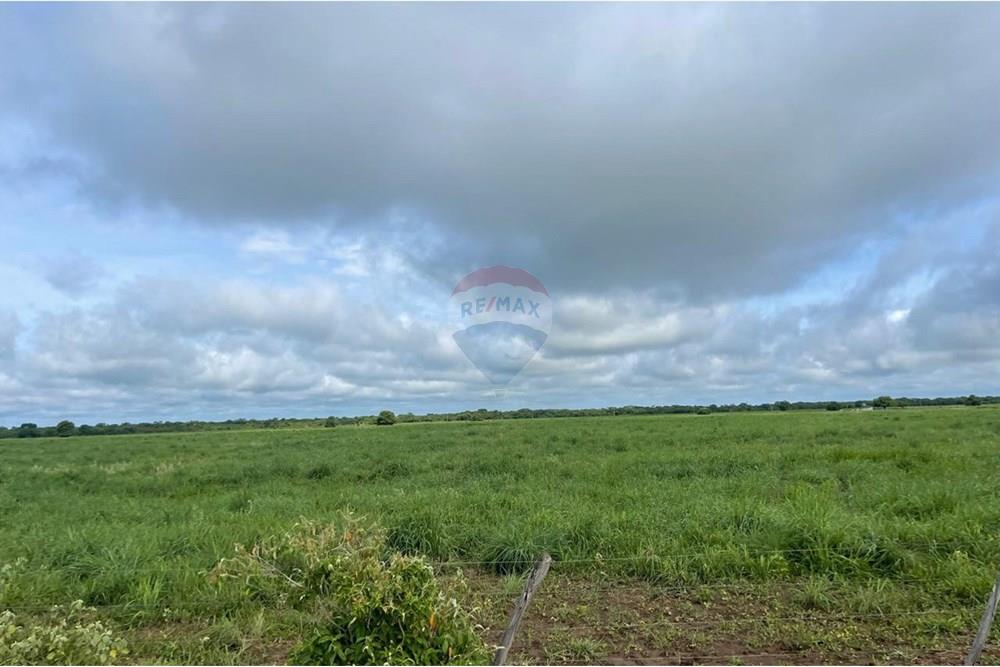 Agro - Venda - Wanderley , Bahia - Imagem do WhatsApp de 2025-08-13 à(s) 16.10.44_2e47aba2.jpg - 580791016-14