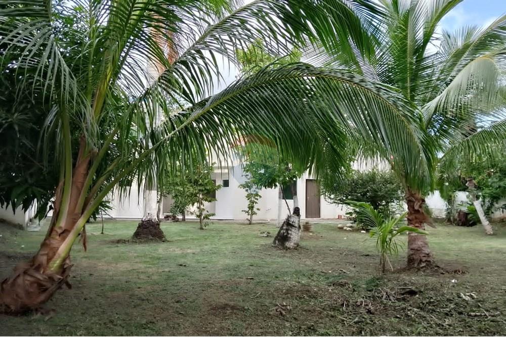 Casa de Condomínio - Venda - Lauro de Freitas , Bahia - canil.jpg - 580421097-3