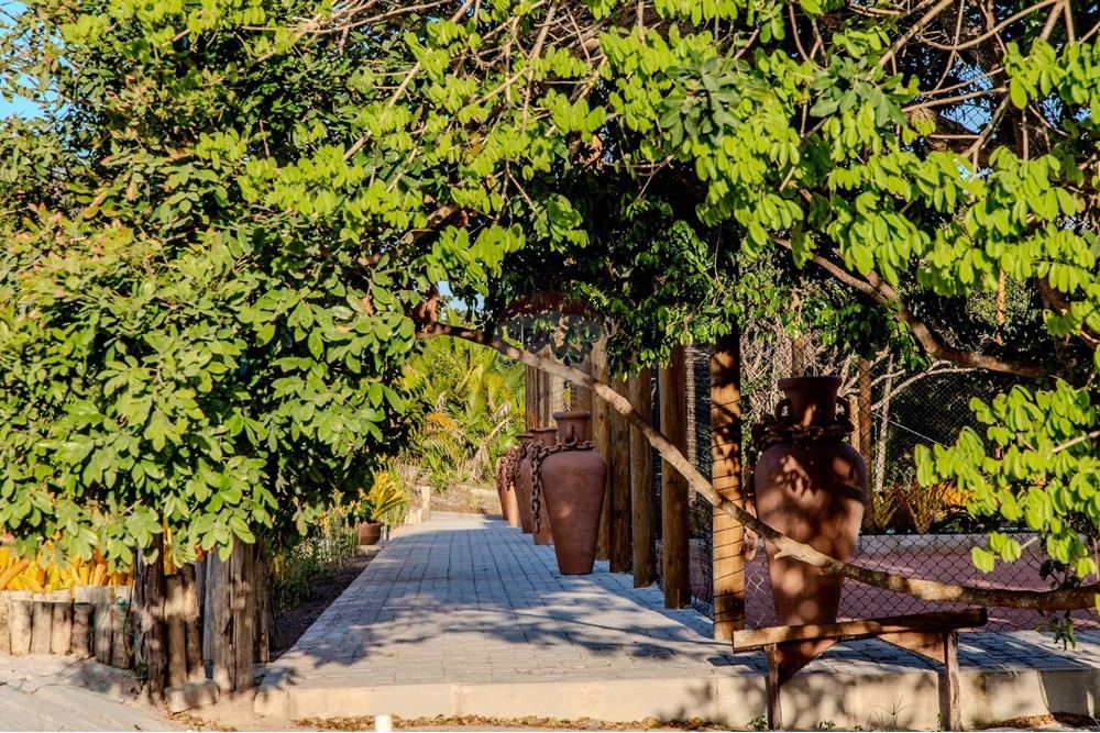 Terreno - Venda - Prado , Bahia - 3e5564a0-c51a-11ef-80ca-b10b0ae2a949.jpg - 580751001-193