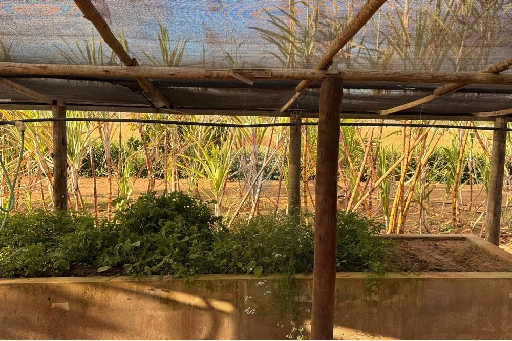 Studio - Venda - Vitória da Conquista , Bahia - F14.jpg - 580831002-163