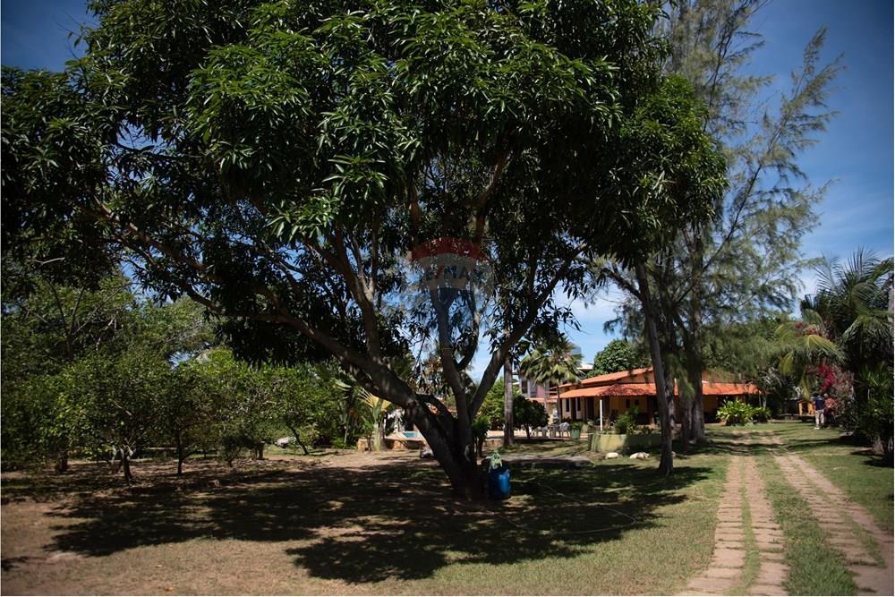 Chácara / Sítio / Fazenda - Venda - Camaçari , Bahia - MSF_0736.JPG - 580541064-147