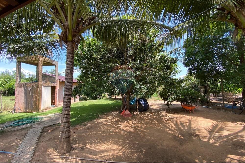 Chácara / Sítio / Fazenda - Venda - Barreiras , Bahia - WhatsApp Image 2025-01-08 at 15.01.44.jpeg - 580651020-100