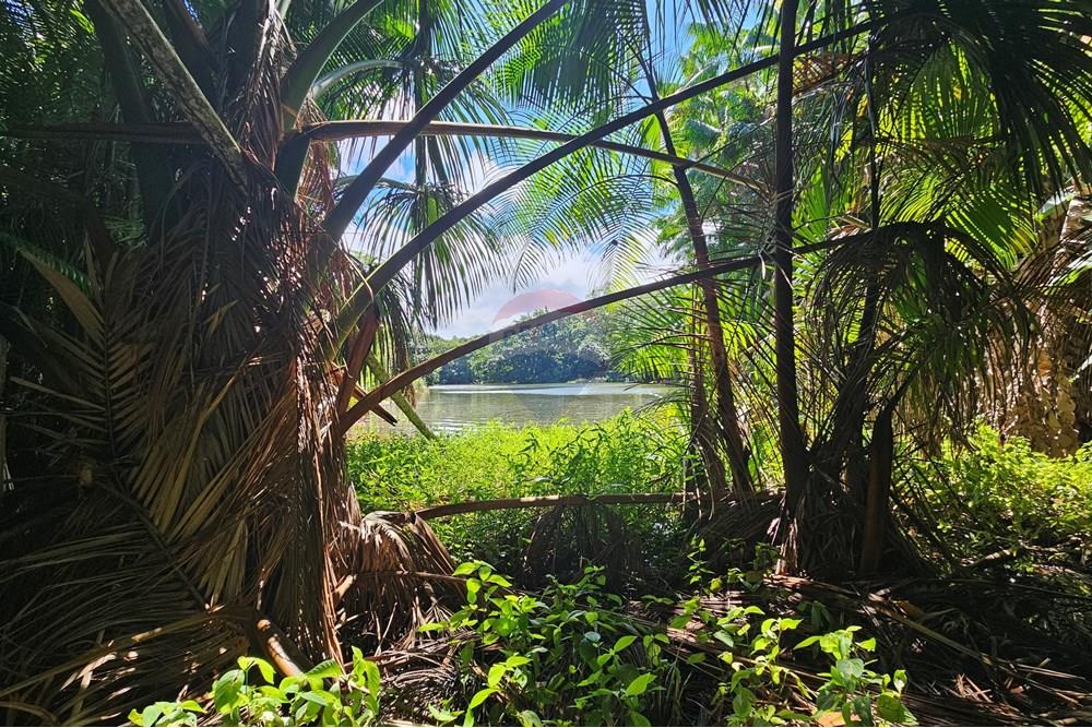 Casa de Condomínio - Venda - Lauro de Freitas , Bahia - 20250818_121257.jpg - 580491027-123