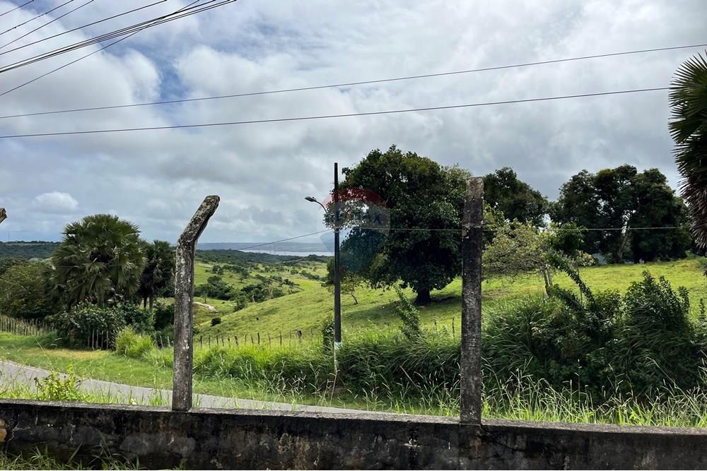 Terreno - Venda - Muritiba , Bahia - IMG_6432.jpeg - 580721017-5