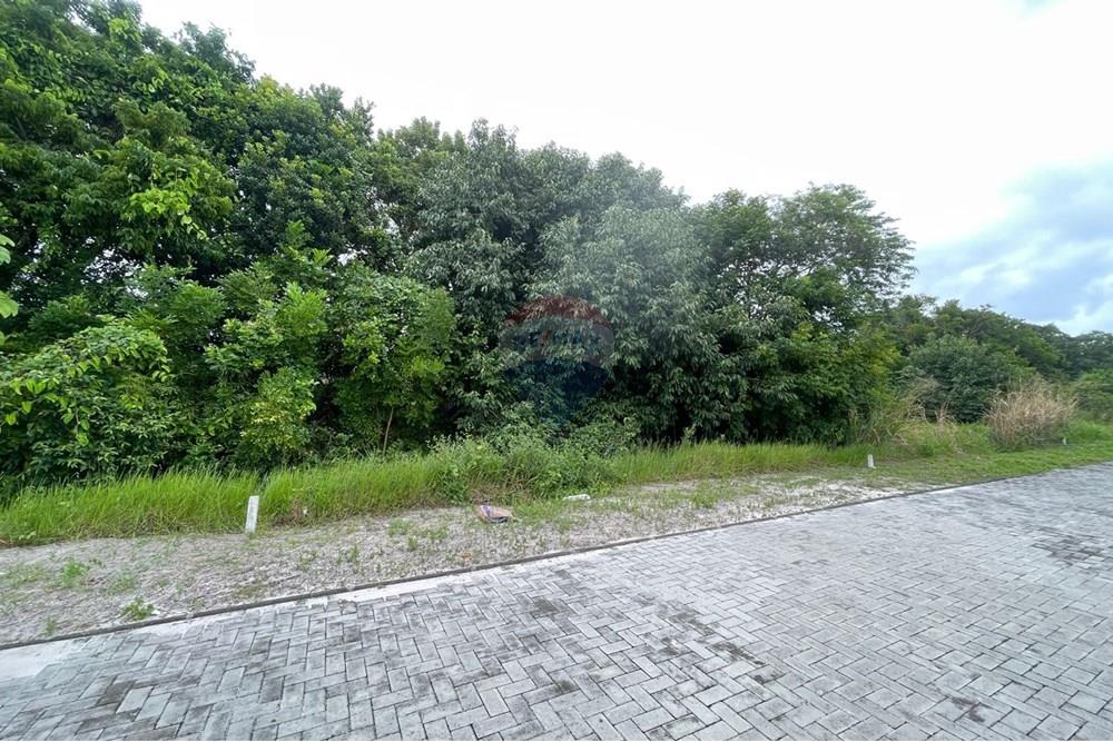 Terreno - Venda - Vera Cruz , Bahia - WhatsApp Image 2025-07-14 at 19.59.42 (1).jpeg - 580401026-67