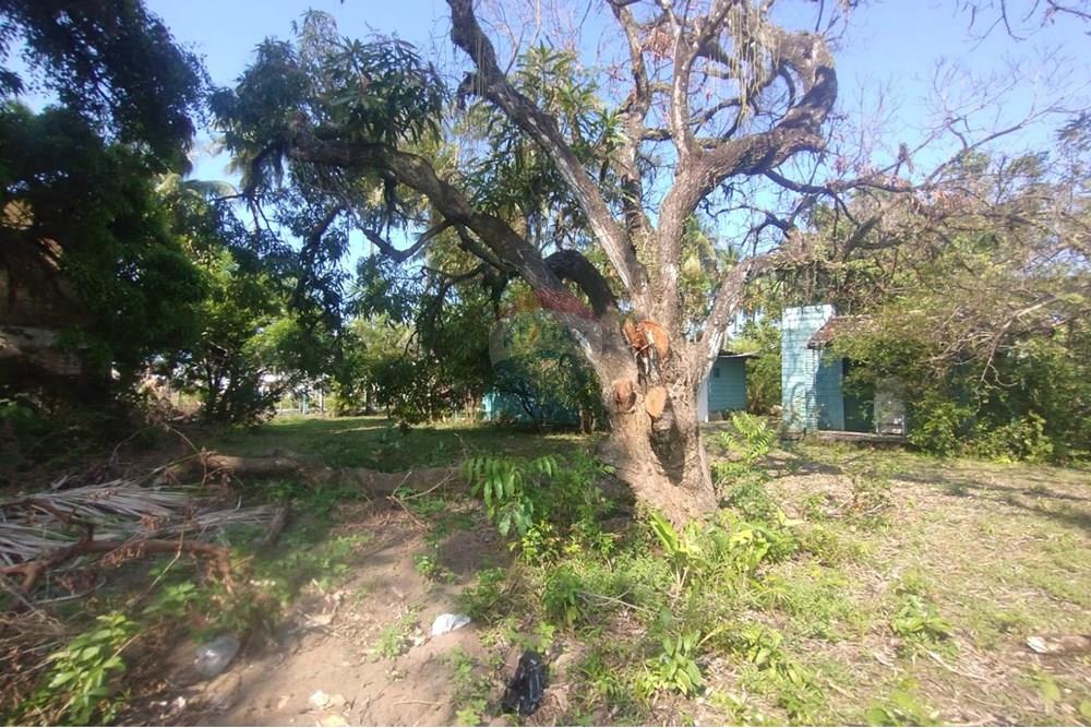 Terreno - Venda - Vera Cruz , Bahia - WhatsApp Image 2024-11-23 at 06.42.44 (1).jpeg - 580401026-39