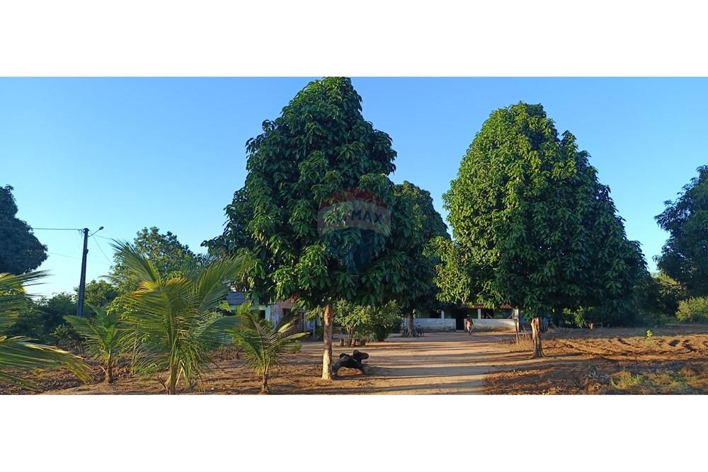 Chácara / Sítio / Fazenda - Venda - Alagoinhas , Bahia - WhatsApp Image 2025-04-19 at 13.24.56.jpeg - 580701025-58