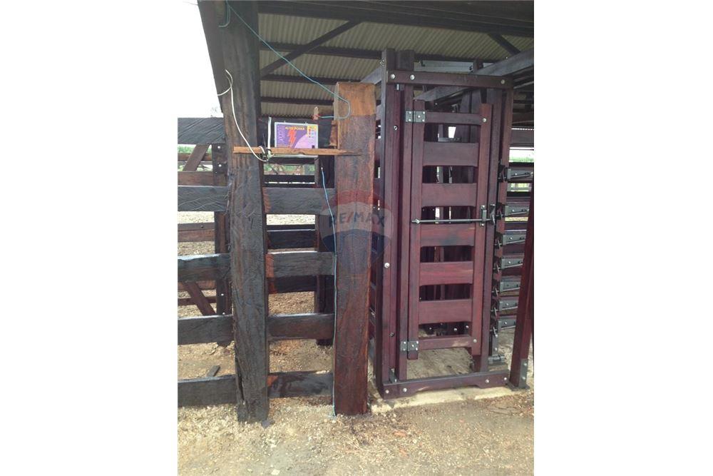 Chácara / Sítio / Fazenda - Venda - Mucuri , Bahia - 6 - 580411006-263