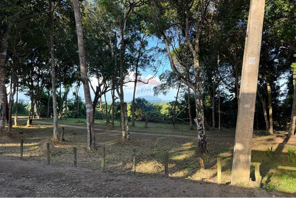 Terreno - Venda - Porto Seguro , Bahia - 9914d1e9-6322-4897-8fe4-28b55ba82387.jpg - 580581002-126