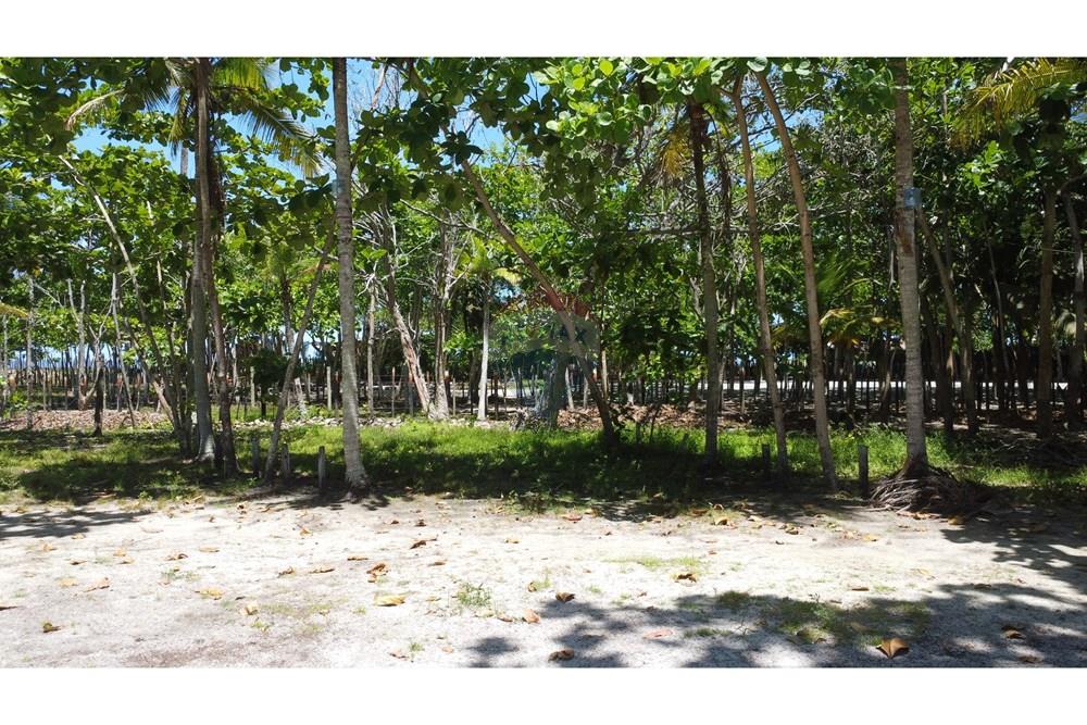 Terreno - Venda - Prado , Bahia - DJI_0132.JPG - 580431021-126