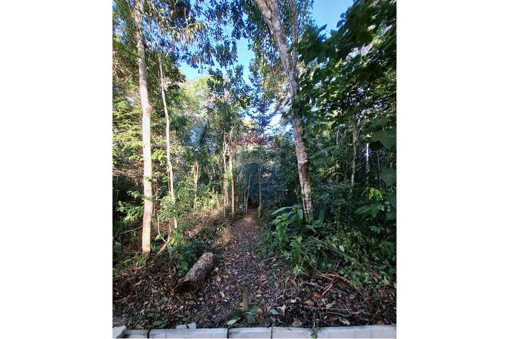 Terreno - Venda - Mata de São João , Bahia - Foto de Carla Valadares(2).jpg - 580541057-5