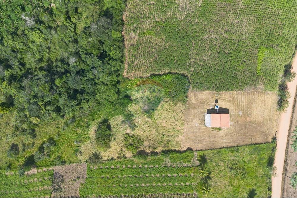 Chácara / Sítio / Fazenda - Venda - Santo Antônio de Jesus , Bahia - WhatsApp Image 2025-08-18 at 16.09.26.jpeg - 580341012-143