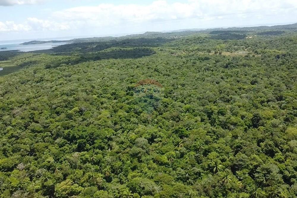 Terreno - Venda - Vera Cruz , Bahia - dji_fly_20250215_105635_0_1739627795153_photo_low_quality.jpg - 580401002-406