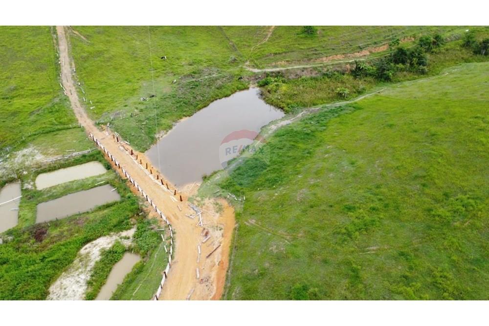 Chácara / Sítio / Fazenda - Venda - Itamaraju , Bahia - WhatsApp Image 2025-02-23 at 10.01.54 (2).jpeg - 580751001-262