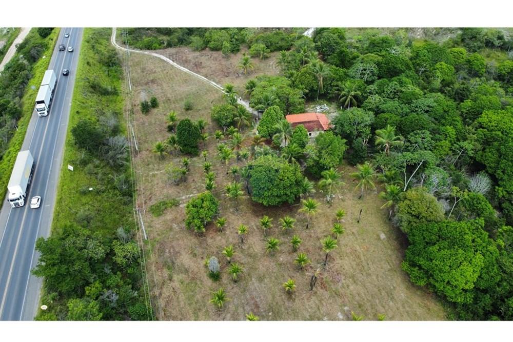 Chácara / Sítio / Fazenda - Venda - Alagoinhas , Bahia - IMG_3143.JPG - 580701051-4