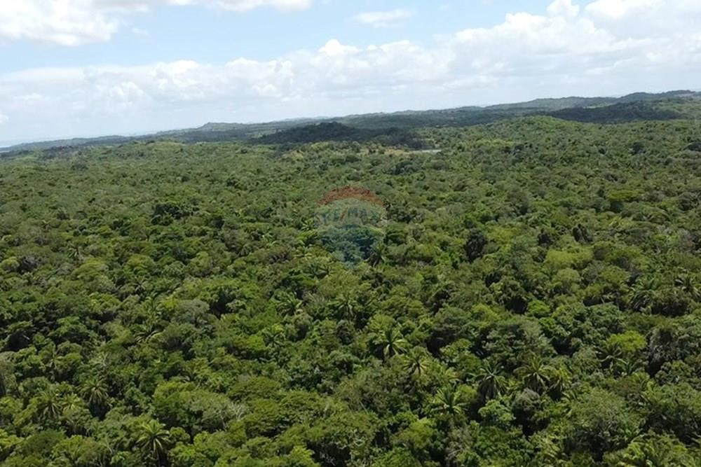 Terreno - Venda - Vera Cruz , Bahia - dji_fly_20250215_110310_0_1739628190413_photo_low_quality.jpg - 580401002-406