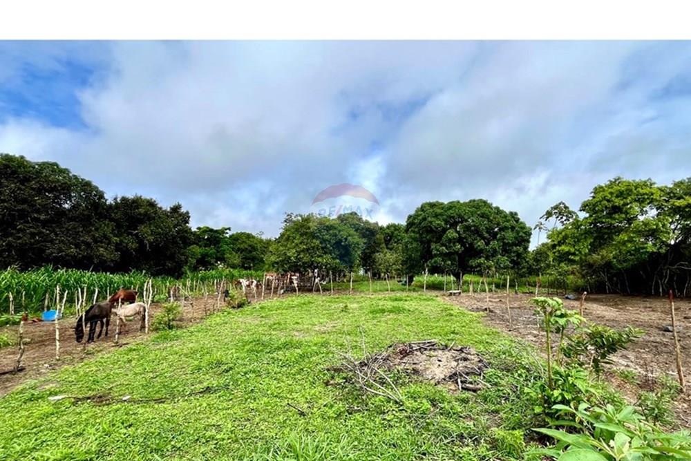 Terreno - Venda - Alagoinhas , Bahia - IMG-20250618-WA0020.jpg - 580701026-46