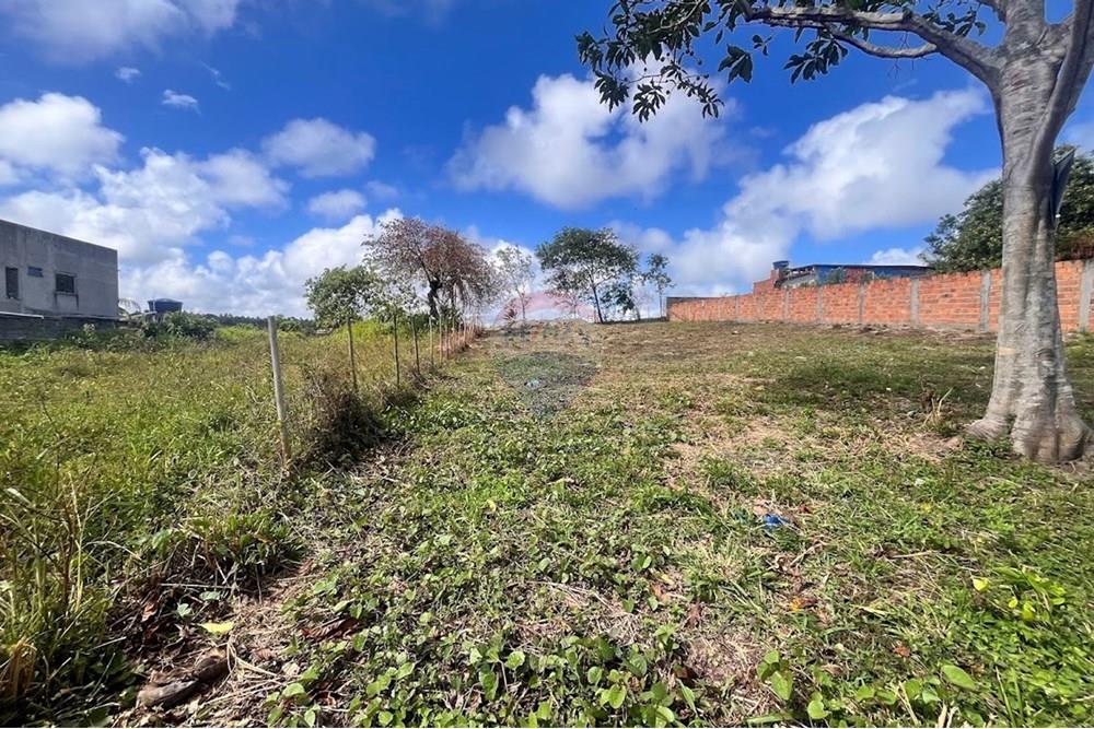 Terreno - Venda - Camaçari , Bahia - IMG_2939.jpg - 580491009-99