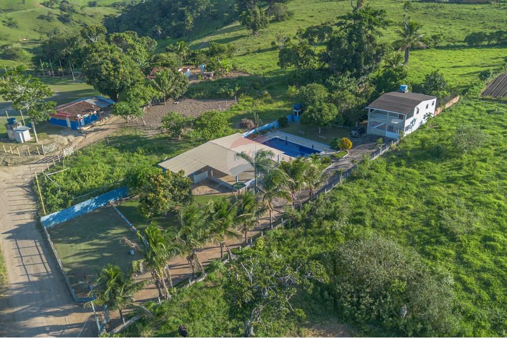 Chácara / Sítio / Fazenda - Venda - Santo Antônio de Jesus , Bahia - DJI_0541 (2).jpg - 580341046-21