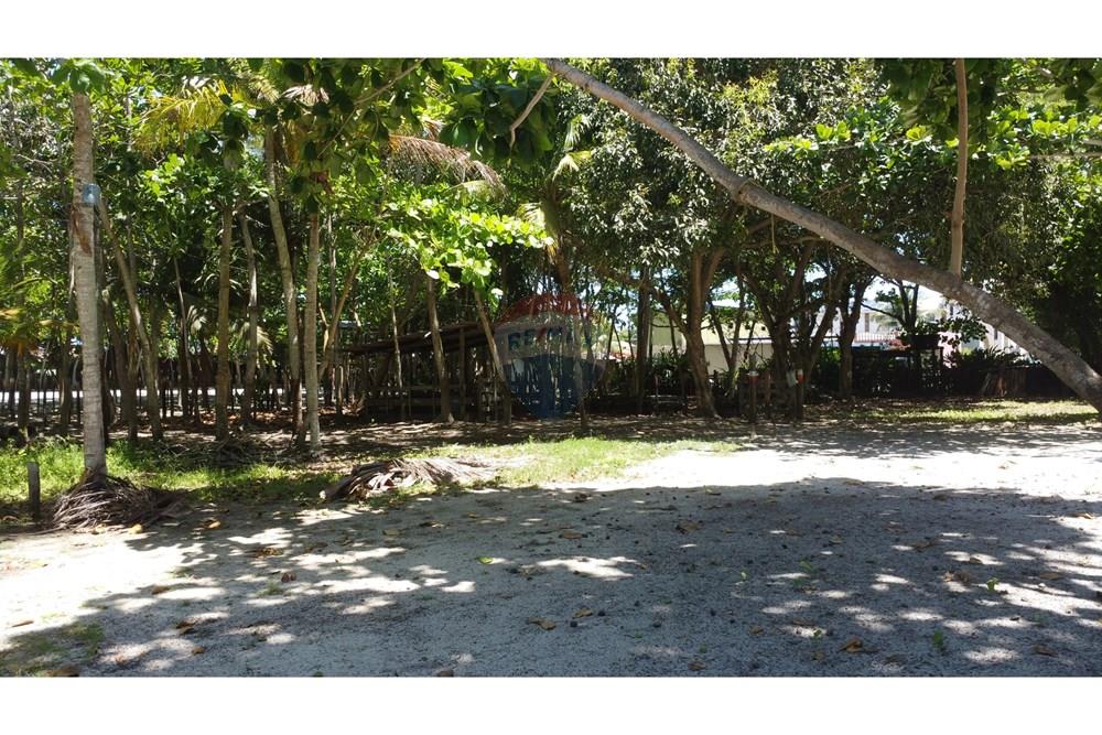 Terreno - Venda - Prado , Bahia - DJI_0133.JPG - 580431021-126