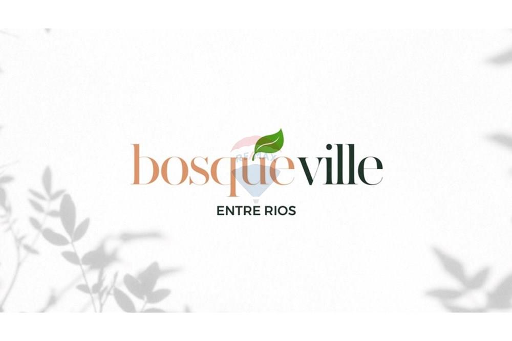 Terreno - Venda - Entre Rios , Bahia - WhatsApp Image 2025-06-04 at 16.44.38.jpeg - 580701051-9