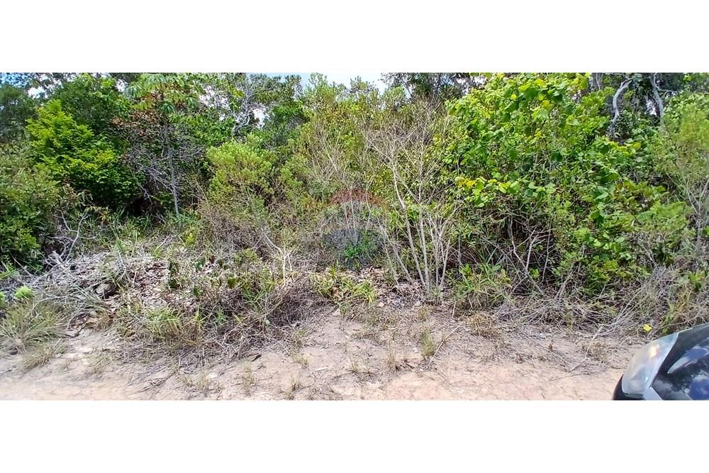 Terreno - Venda - Porto Seguro , Bahia - fotos (10).jpg - 580581006-69