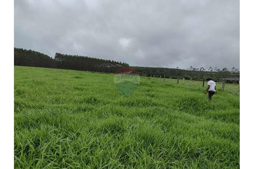 Chácara / Sítio / Fazenda - Venda - Teixeira de Freitas , Bahia - WhatsApp Image 2024-05-13 at 16.09.17 (1).jpeg - 580411003-292