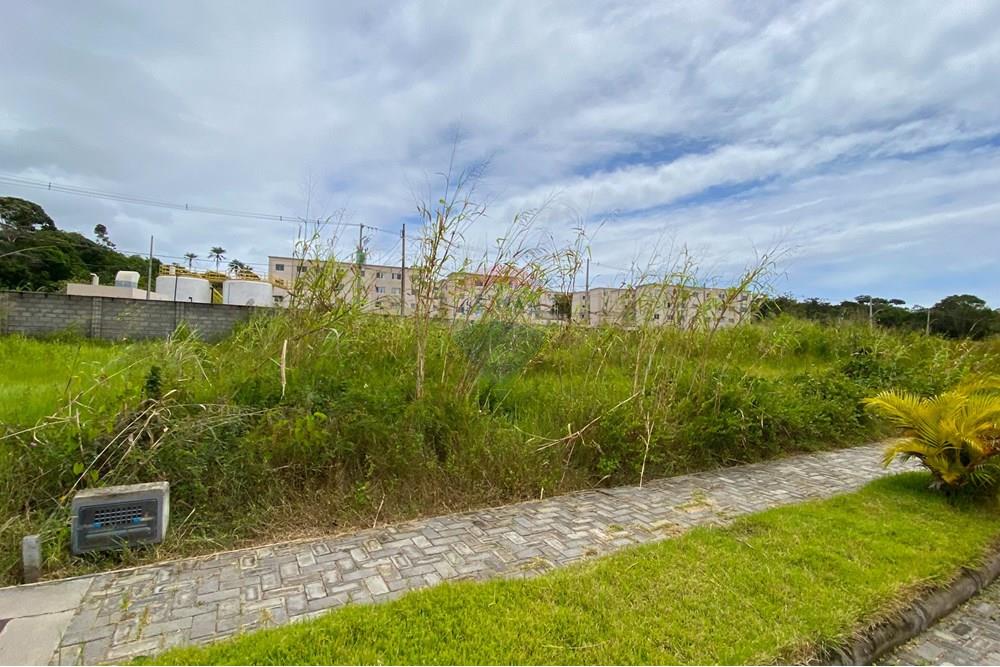 Terreno - Venda - Camaçari , Bahia - IMG_8327_jpg.jpg - 580421085-14