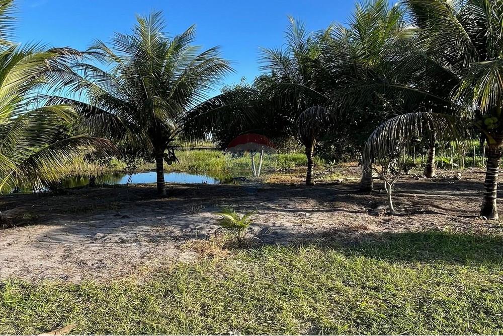 Chácara / Sítio / Fazenda - Venda - Alcobaça , Bahia - 18.jpg - 580631014-62