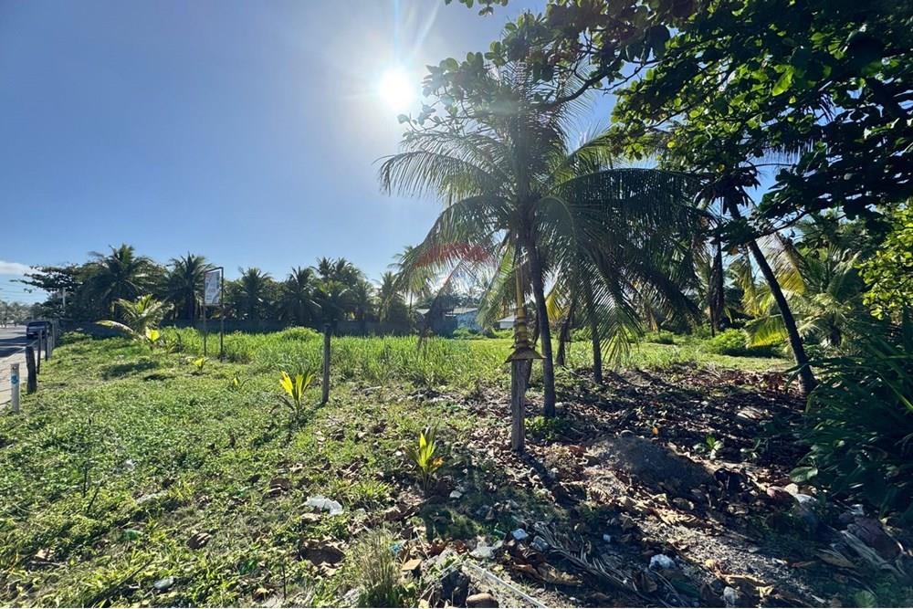 Terreno - Venda - Camaçari , Bahia - WhatsApp Image 2024-12-05 at 16.08.48.jpeg - 580781002-15