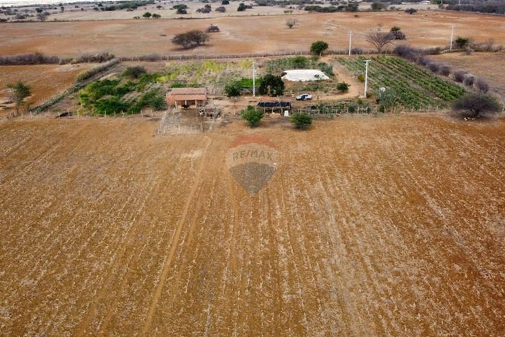 Terreno - Venda - Irecê , Bahia - a1f346a5-b194-4994-917f-f914470549d0.jpeg - 580841008-85