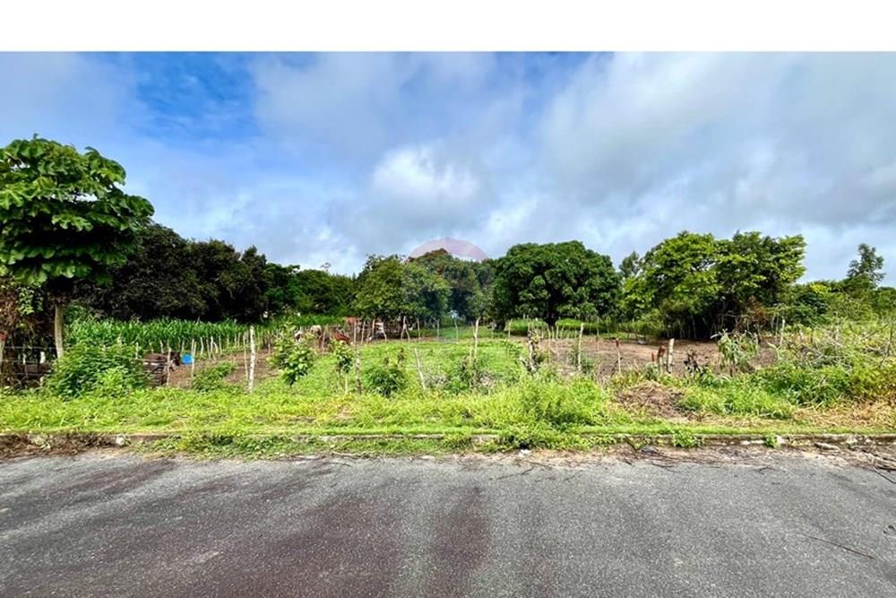 Terreno - Venda - Alagoinhas , Bahia - IMG-20250618-WA0015.jpg - 580701026-46