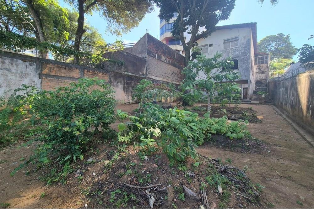 Casa - Alugar - Salvador , Bahia - FOTO 85.jpeg - Quintal - 580561027-139