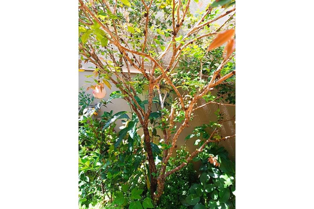 Casa - Venda - Alcobaça , Bahia - WhatsApp Image 2024-02-05 at 11.48.29 (2).jpeg - 580431021-136