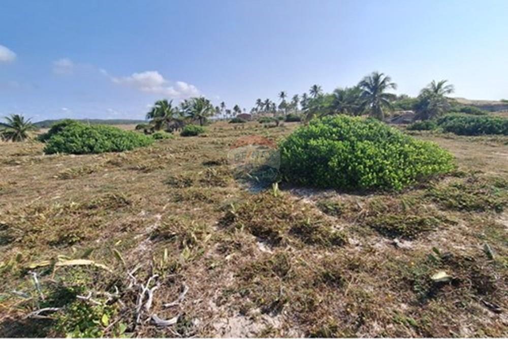 Terreno - Venda - Conde , Bahia - terrenoavendaemsitiodoconde580691012-93_07.jpg - 580691012-93