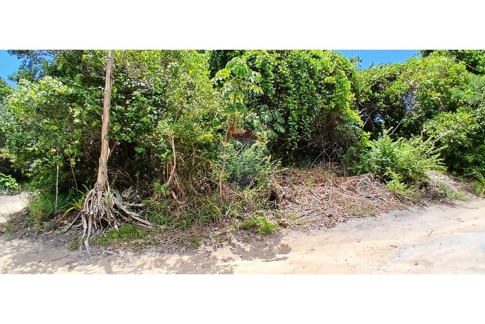 Terreno - Venda - Porto Seguro , Bahia - fotos (14).jpg - 580581006-69