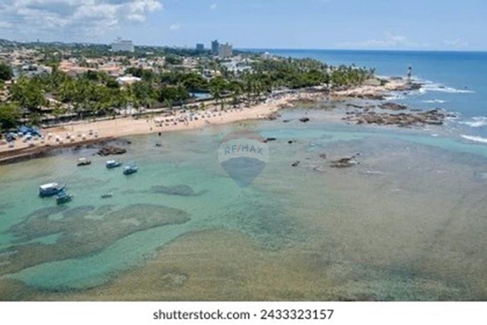 Apartamento - Venda - Salvador , Bahia - WhatsApp Image 2025-07-31 at 16.43.09.jpeg - 580421036-43