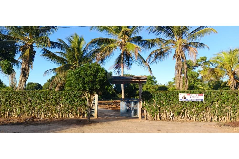 Chácara / Sítio / Fazenda - Venda - Alagoinhas , Bahia - WhatsApp Image 2025-04-19 at 13.25.07.jpeg - 580701025-58