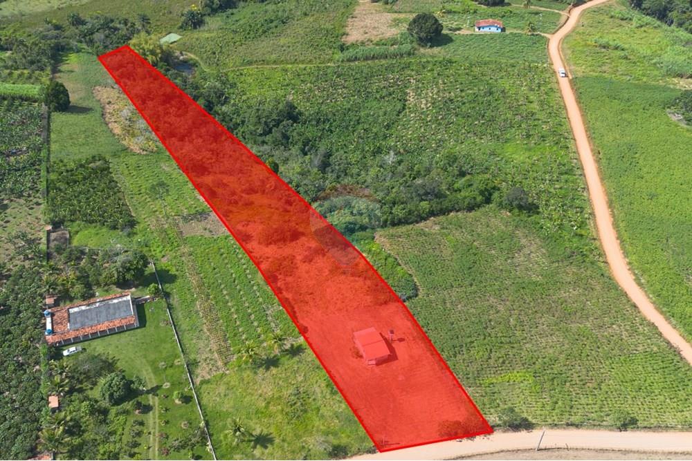 Chácara / Sítio / Fazenda - Venda - Santo Antônio de Jesus , Bahia - WhatsApp Image 2025-08-18 at 16.09.26 (1).jpeg - 580341012-143