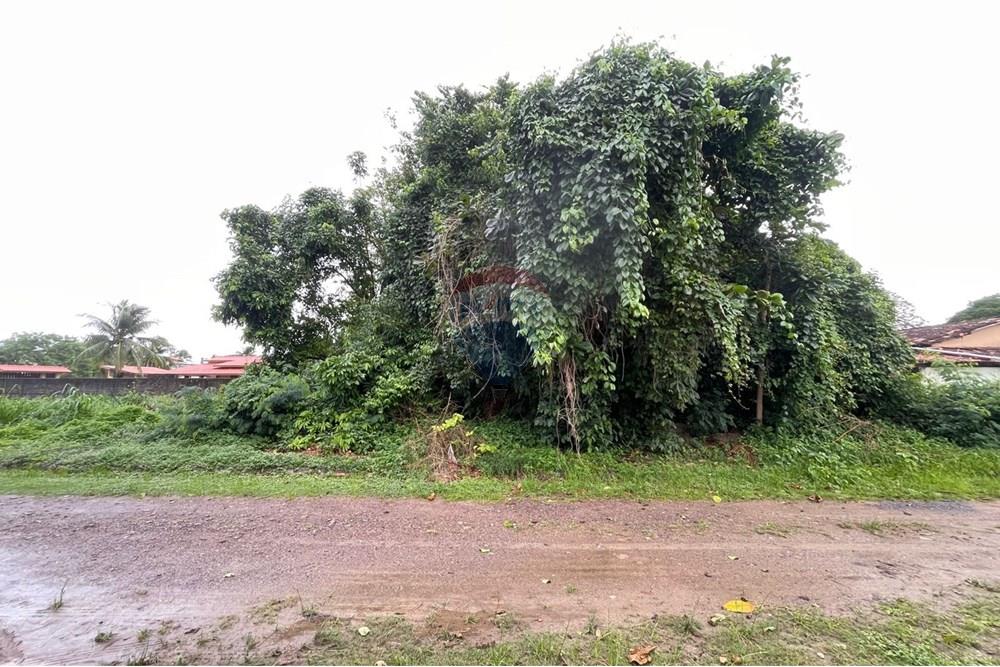 Terreno - Venda - Vera Cruz , Bahia - WhatsApp Image 2025-07-14 at 18.51.47.jpeg - 580401026-66